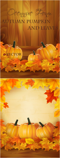 Autumn pumpkin and leaves vector / Осенние Фоны