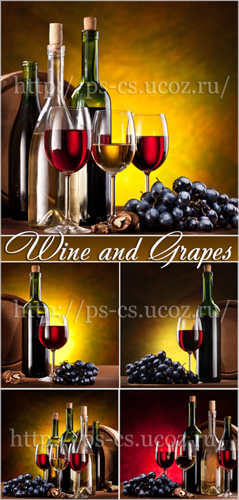 Wine and Grapes - Вино и Виноград