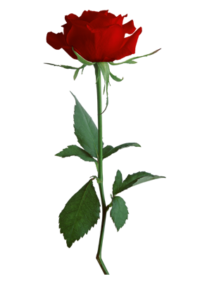 Клипарт - Красные Розы