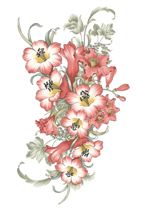 Клипарт - Flowers