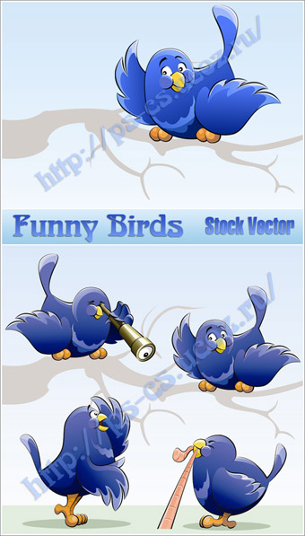 Funny Birds Vector  - Забавные Птички в Векторе
