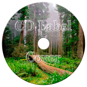 Экшен - CD Label Cover - Обложка диска в Фотошопе